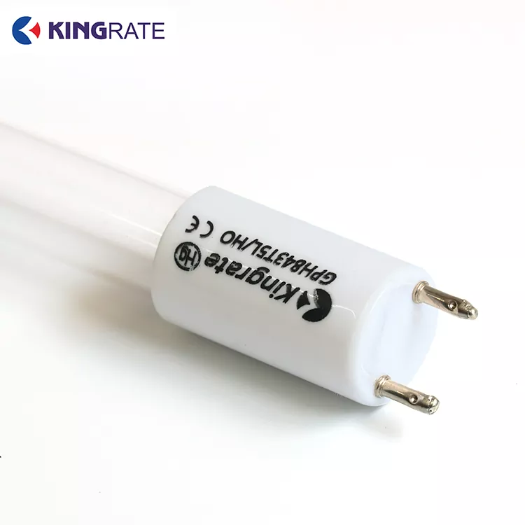 Suure energiatarbega kaheribaline UV-lamp